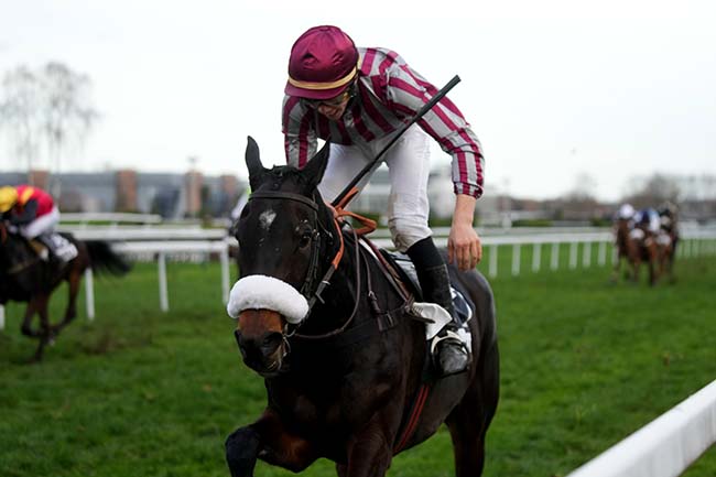 Photo d'arrivée de la course pmu PRIX ABEL RAMON DIAGO à PAU le Mardi 16 décembre 2025