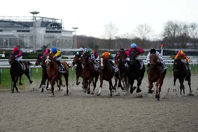 Photo d'arrivée de la course pmu PRIX DE MAUCOR à PAU le Mardi 16 décembre 2025