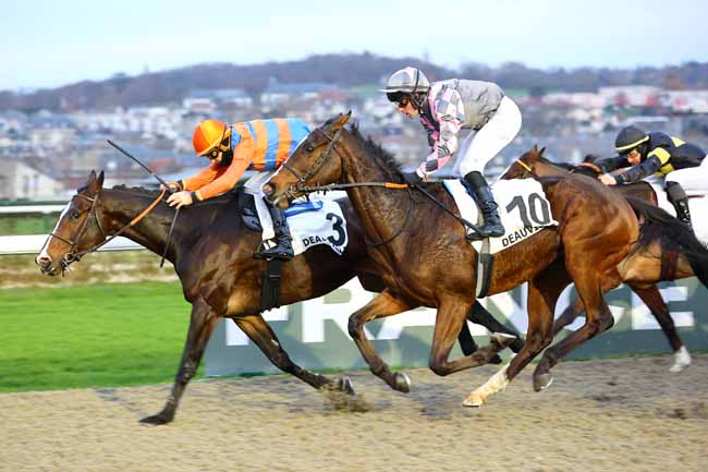 Photo d'arrivée de la course pmu PRIX DE MORTAGNE-AU-PERCHE à DEAUVILLE le Mercredi 17 décembre 2025