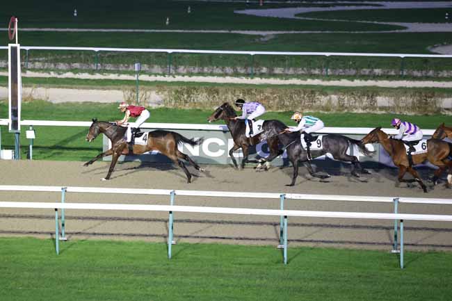 Photo d'arrivée de la course pmu PRIX DE BEUVRON-EN-AUGE à DEAUVILLE le Mercredi 17 décembre 2025