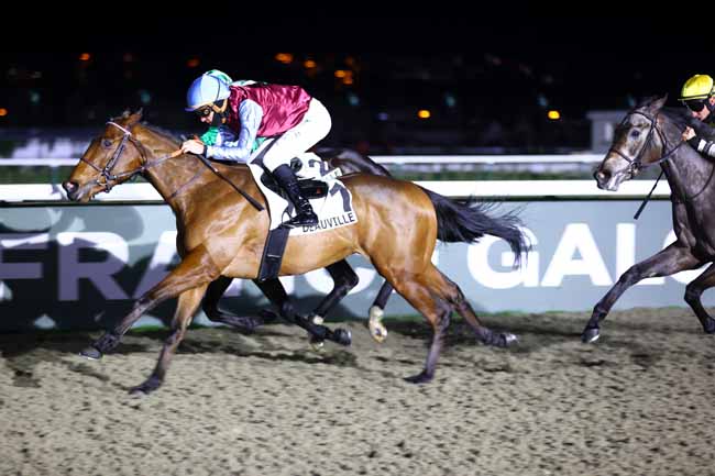 Photo d'arrivée de la course pmu PRIX DU HAUT GUE à DEAUVILLE le Mercredi 17 décembre 2025