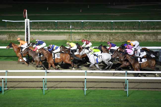 Photo d'arrivée de la course pmu PRIX DU MASSIF ARMORICAIN à DEAUVILLE le Jeudi 18 décembre 2025
