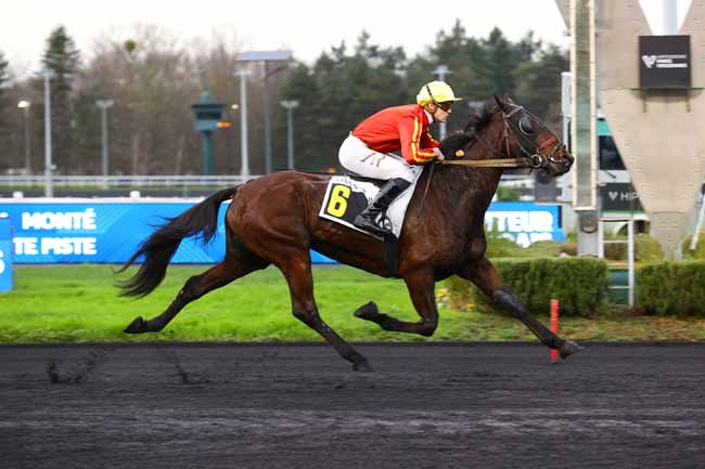 Photo d'arrivée de la course pmu PRIX DE MIREVAL à PARIS-VINCENNES le Vendredi 19 décembre 2025