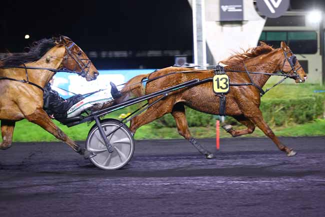 Photo d'arrivée de la course pmu PRIX DE LUYNES à PARIS-VINCENNES le Vendredi 19 décembre 2025