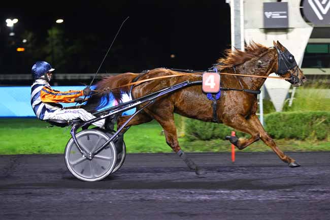 Photo d'arrivée de la course pmu PRIX DE PLESSE à PARIS-VINCENNES le Vendredi 19 décembre 2025