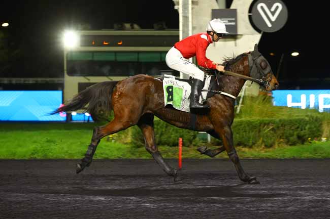 Photo d'arrivée de la course pmu PRIX DE COLLIOURE à PARIS-VINCENNES le Vendredi 19 décembre 2025