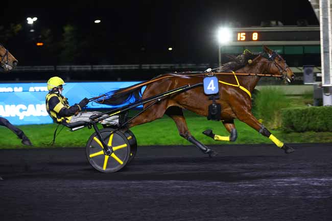 Arrivée quinté pmu PRIX D'AMBOISE à PARIS-VINCENNES