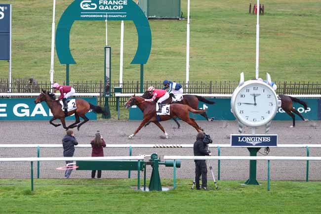Photo d'arrivée de la course pmu PRIX DE LA GRANDE FOLIE à CHANTILLY le Vendredi 19 décembre 2025