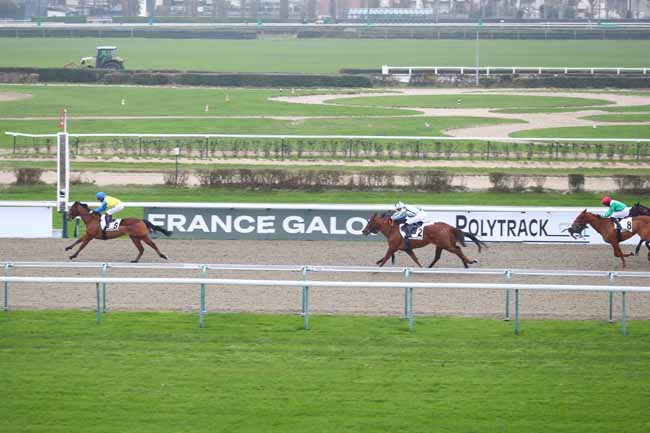 Photo d'arrivée de la course pmu PRIX DU MARCHE DE NOEL DE DEAUVILLE à DEAUVILLE le Mardi 23 décembre 2025