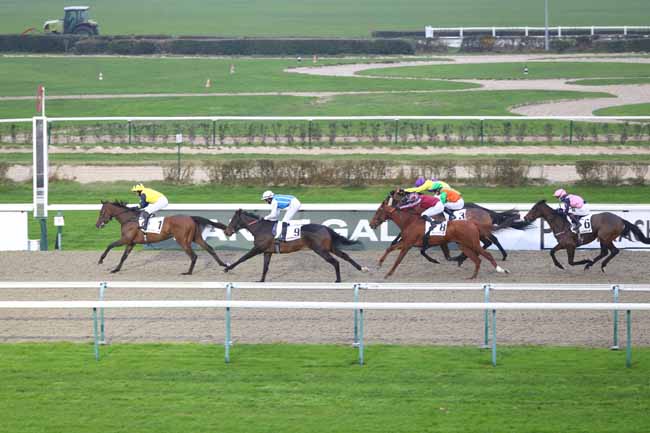Photo d'arrivée de la course pmu PRIX ARCANGUES - POLYTRACK CHALLENGE à DEAUVILLE le Mardi 23 décembre 2025