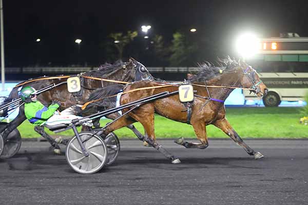 Photo d'arrivée de la course pmu PRIX DE SAINT-JEAN-DE-MONTS à PARIS-VINCENNES le Mercredi 24 décembre 2025