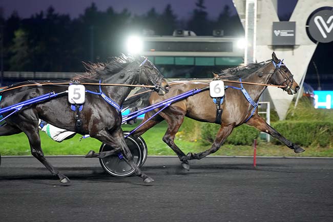 Photo d'arrivée de la course pmu PRIX DE MONTAUBAN à PARIS-VINCENNES le Vendredi 26 décembre 2025