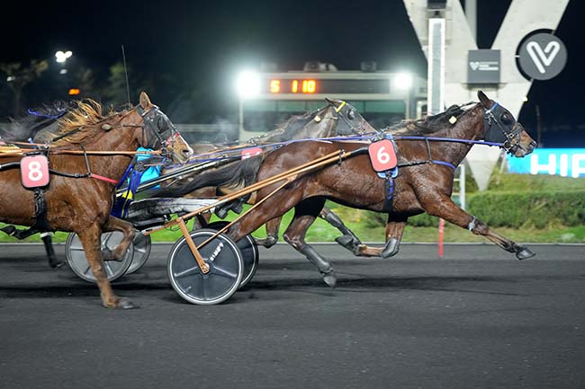 Photo d'arrivée de la course pmu PRIX DU GARD à PARIS-VINCENNES le Vendredi 26 décembre 2025