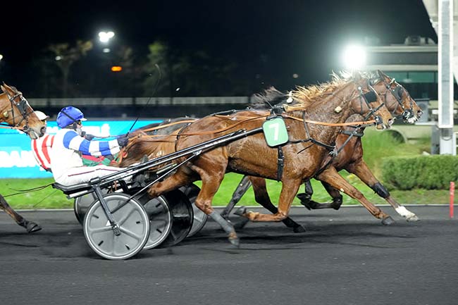 Photo d'arrivée de la course pmu PRIX DE SALVANHAC à PARIS-VINCENNES le Vendredi 26 décembre 2025