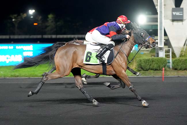 Photo d'arrivée de la course pmu PRIX DE MEYSSAC à PARIS-VINCENNES le Vendredi 26 décembre 2025
