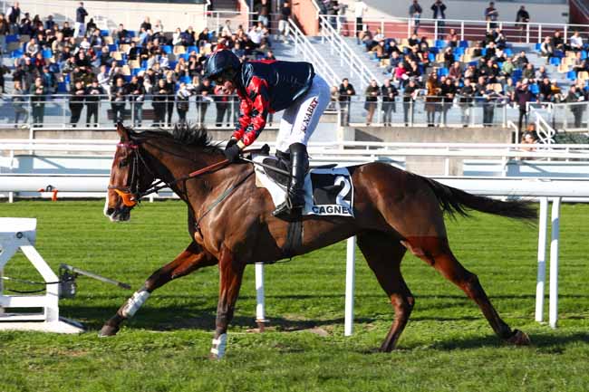 Photo d'arrivée de la course pmu PRIX DE LA PICARDIE à CAGNES-SUR-MER le Lundi 29 décembre 2025