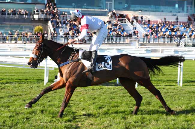 Photo d'arrivée de la course pmu PRIX DU PAYS DE LOIRE à CAGNES-SUR-MER le Lundi 29 décembre 2025