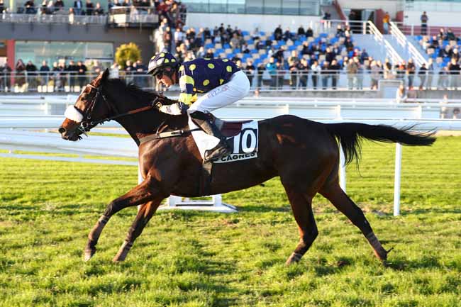 Photo d'arrivée de la course pmu PRIX DE LA BOURGOGNE à CAGNES-SUR-MER le Lundi 29 décembre 2025