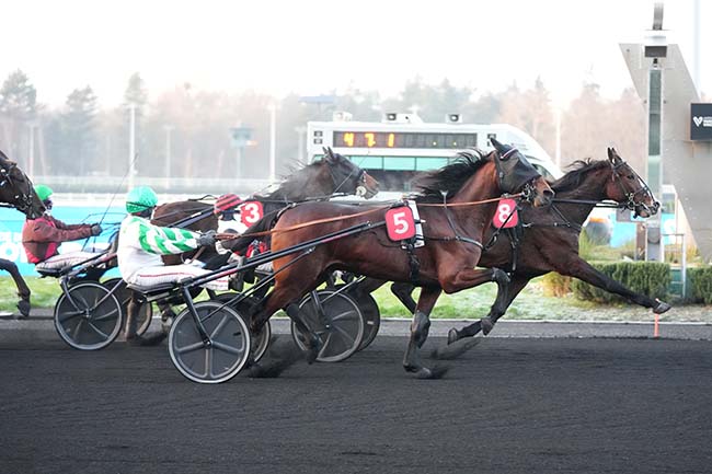 Photo d'arrivée de la course pmu PRIX DE CALVISSON à PARIS-VINCENNES le Lundi 29 décembre 2025