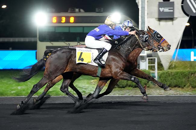 Photo d'arrivée de la course pmu PRIX DE MENDE à PARIS-VINCENNES le Lundi 29 décembre 2025
