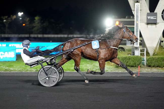 Photo d'arrivée de la course pmu PRIX DE BRIVE-LA-GAILLARDE à PARIS-VINCENNES le Lundi 29 décembre 2025