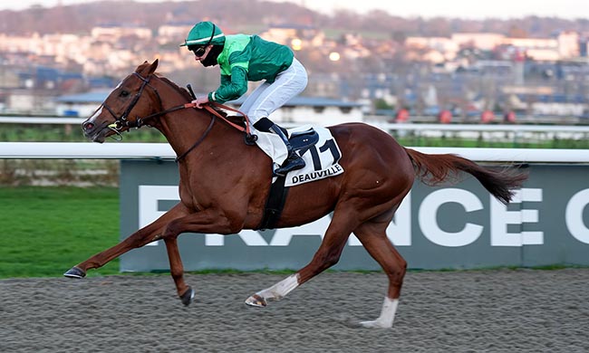 Photo d'arrivée de la course pmu PRIX DE MARTAINVILLE à DEAUVILLE le Lundi 29 décembre 2025