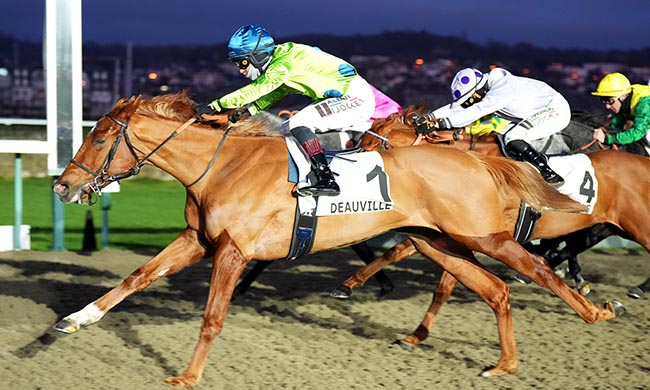 Photo d'arrivée de la course pmu PRIX D'EPREVILLE à DEAUVILLE le Lundi 29 décembre 2025