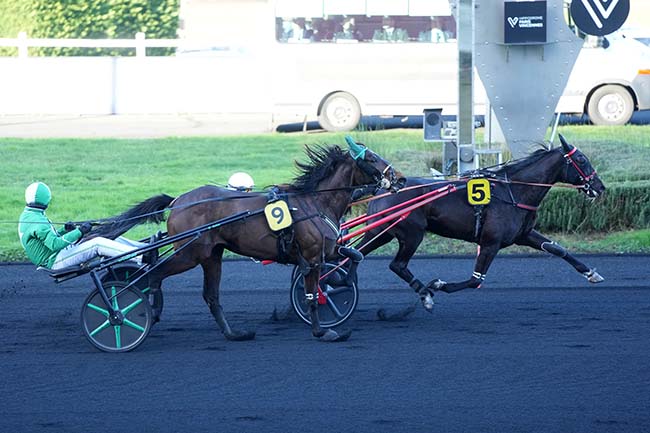 Photo d'arrivée de la course pmu PRIX DES OEILLETS à PARIS-VINCENNES le Mardi 30 décembre 2025