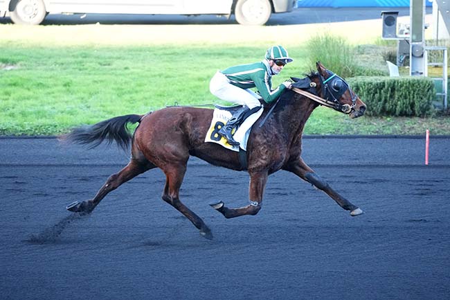 Photo d'arrivée de la course pmu PRIX DE VALLAURIS à PARIS-VINCENNES le Mardi 30 décembre 2025
