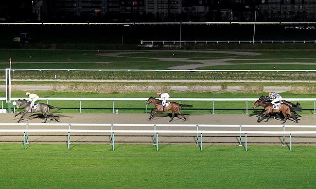 Photo d'arrivée de la course pmu PRIX DU CHEMIN DE FER à DEAUVILLE le Vendredi 9 janvier 2026