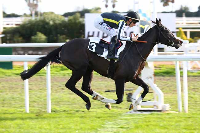 Photo d'arrivée de la course pmu PRIX DE CAUCADE à CAGNES-SUR-MER le Lundi 12 janvier 2026