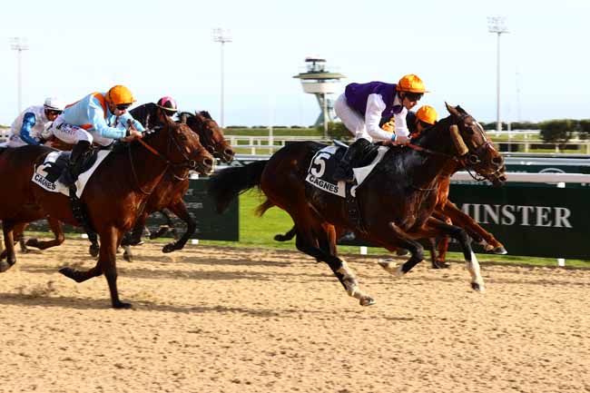Arrivée quinté pmu PRIX VANS BARBOT (PRIX DU LANGUEDOC) à CAGNES-SUR-MER