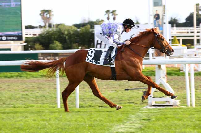 Photo d'arrivée de la course pmu PRIX DE FABRON à CAGNES-SUR-MER le Lundi 12 janvier 2026