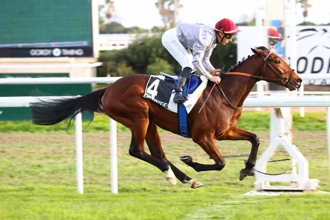Photo d'arrivée de la course pmu PRIX LOUIS GAUTIER VIGNAL à CAGNES-SUR-MER le Lundi 12 janvier 2026