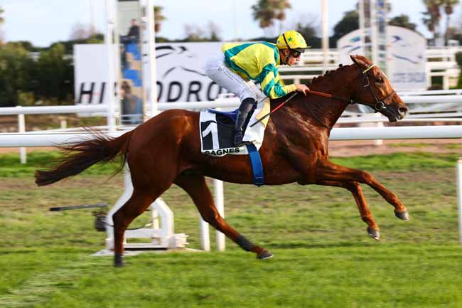 Photo d'arrivée de la course pmu PRIX ALBERT TATON à CAGNES-SUR-MER le Lundi 12 janvier 2026