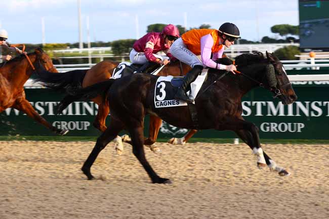 Photo d'arrivée de la course pmu PRIX CHERET à CAGNES-SUR-MER le Lundi 12 janvier 2026