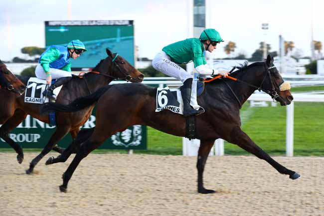Photo d'arrivée de la course pmu PRIX DU ROUSSILLON à CAGNES-SUR-MER le Lundi 12 janvier 2026