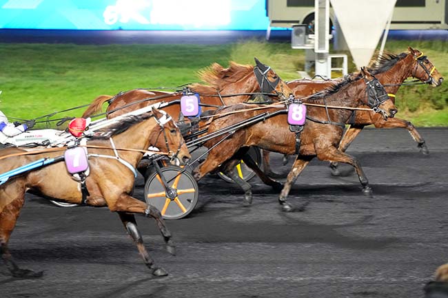 Photo d'arrivée de la course pmu PRIX DE FENEU à PARIS-VINCENNES le Mardi 13 janvier 2026