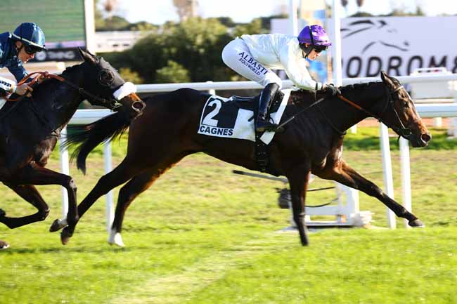Photo d'arrivée de la course pmu PRIX DE LA CORNICHE FLEURIE à CAGNES-SUR-MER le Mercredi 14 janvier 2026