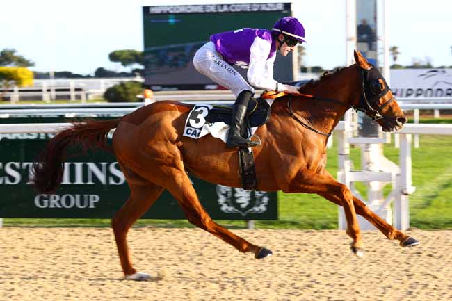 Photo d'arrivée de la course pmu PRIX D'ANNONCIADE à CAGNES-SUR-MER le Mercredi 14 janvier 2026