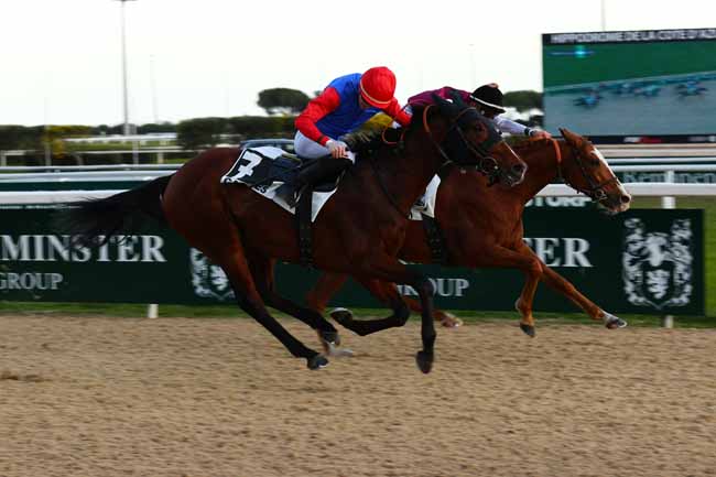 Photo d'arrivée de la course pmu PRIX DE LA CROISETTE à CAGNES-SUR-MER le Mercredi 14 janvier 2026