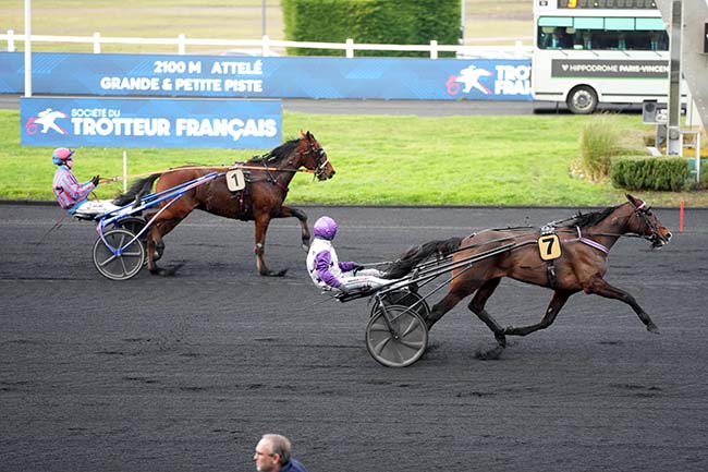 Photo d'arrivée de la course pmu PRIX DE RIOM à PARIS-VINCENNES le Mercredi 14 janvier 2026