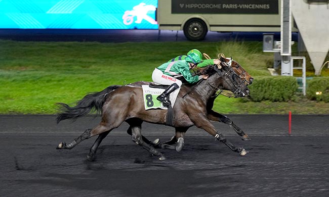 Photo d'arrivée de la course pmu PRIX DU BOUSCAT à PARIS-VINCENNES le Mercredi 14 janvier 2026