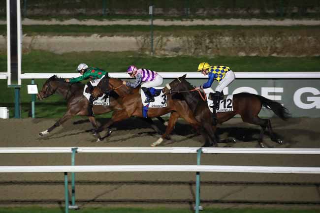 Photo d'arrivée de la course pmu PRIX DE LA BEAUVOISINIERE à DEAUVILLE le Vendredi 16 janvier 2026