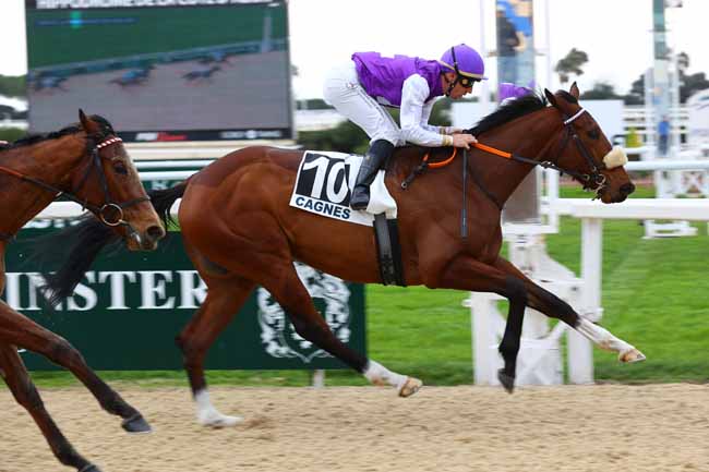 Photo d'arrivée de la course pmu PRIX DE LA PROMENADE DES ANGLAIS à CAGNES-SUR-MER le Lundi 19 janvier 2026