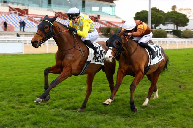 Photo d'arrivée de la course pmu PRIX DE BORMES-LES-MIMOSAS à CAGNES-SUR-MER le Lundi 19 janvier 2026