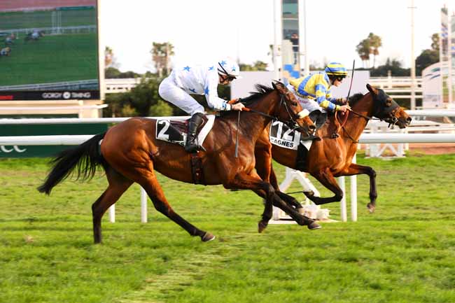 Photo d'arrivée de la course pmu PRIX JEAN ZAY à CAGNES-SUR-MER le Lundi 19 janvier 2026