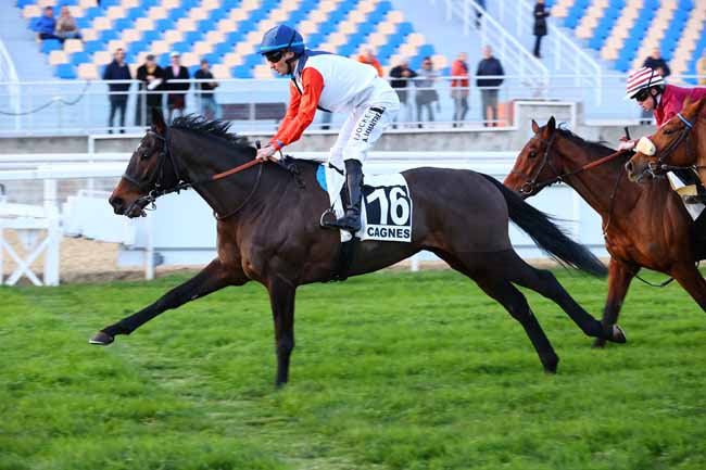 Photo d'arrivée de la course pmu PRIX DES GLYCINES à CAGNES-SUR-MER le Lundi 19 janvier 2026