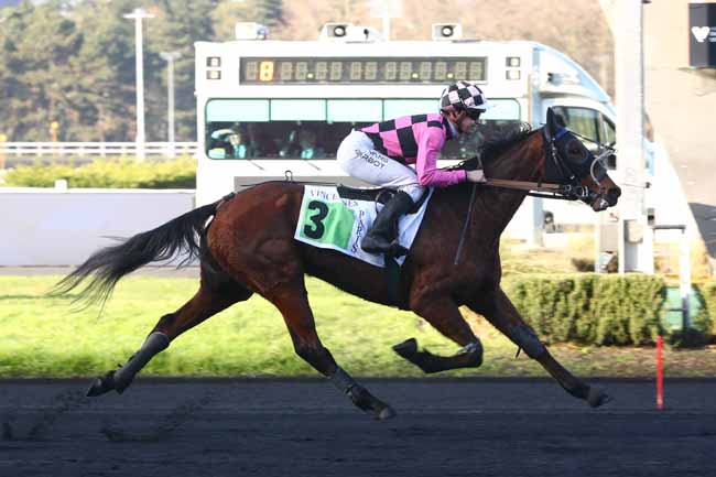 Photo d'arrivée de la course pmu PRIX DE CARCASSONNE à PARIS-VINCENNES le Lundi 19 janvier 2026