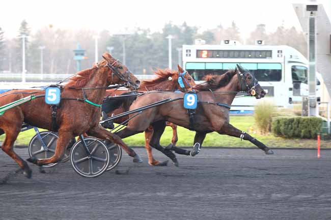 Photo d'arrivée de la course pmu PRIX DU LION-D'ANGERS à PARIS-VINCENNES le Lundi 19 janvier 2026
